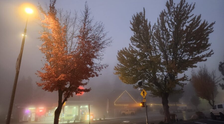 Crazy foggy night