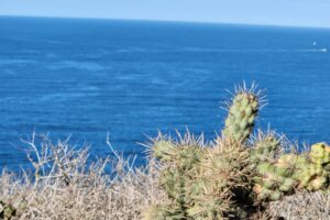 Dana Point Headlands Strands