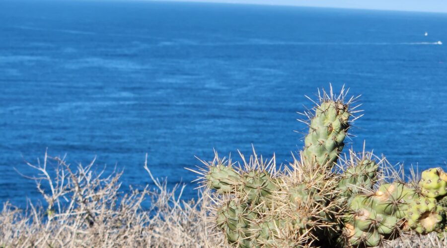 Dana Point Headlands Strands