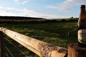 Beer on a fence post