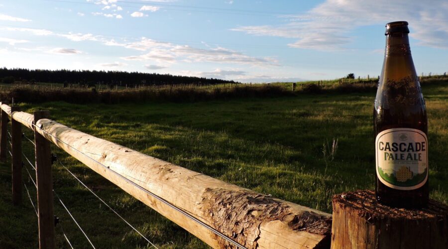 Beer on a fence post